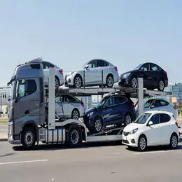 Car transport carrier in Horndean, Hampshire