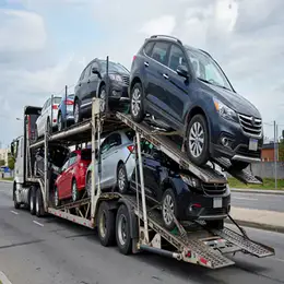 Car transport carrier in Dundee