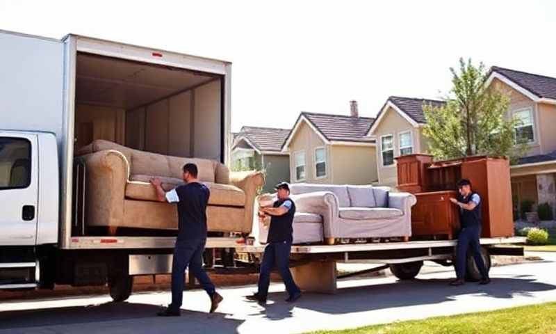 Moving Company in Denver, Colorado