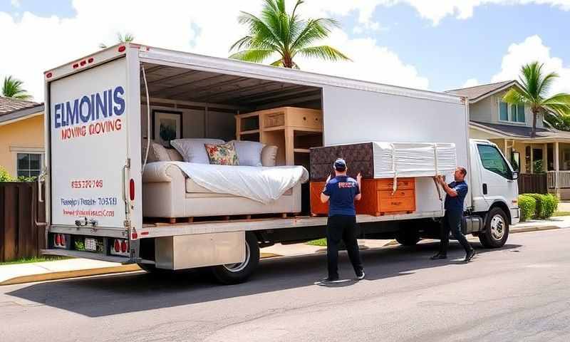 Kaneohe, Hawaii moving company