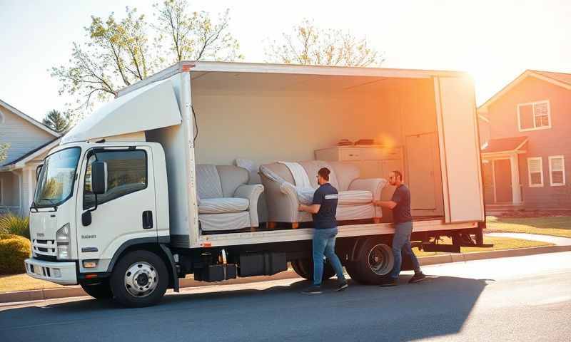 Lansing, Michigan moving company