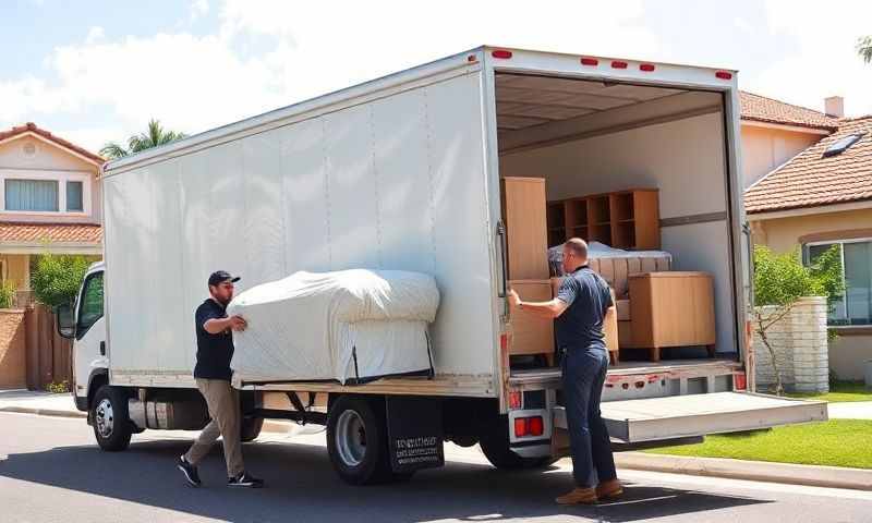 Moving Company in Sabana Grande, Puerto Rico